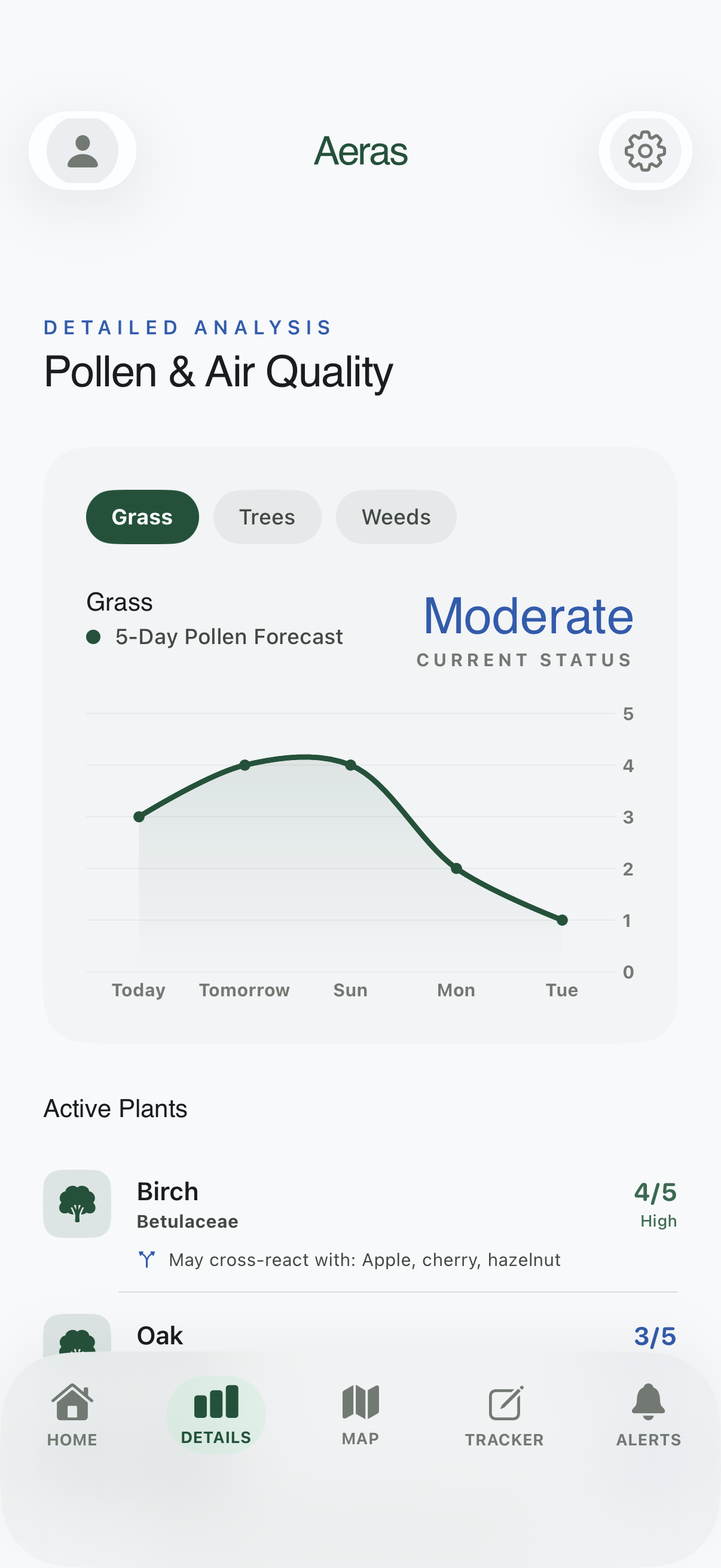 A daily forecast made for allergy sufferers — Aeras